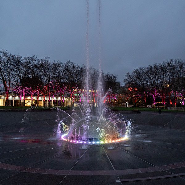 Outside, tree lights, trees, fountain with lights, sky, 