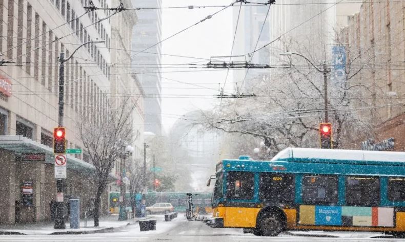 Winter storm, hazardous road conditions, buses, city buildings, traffic lights
